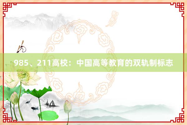 985、211高校：中国高等教育的双轨制标志